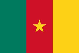 Drapeau du Cameroun