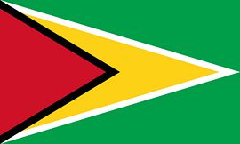 Drapeau du Guyana