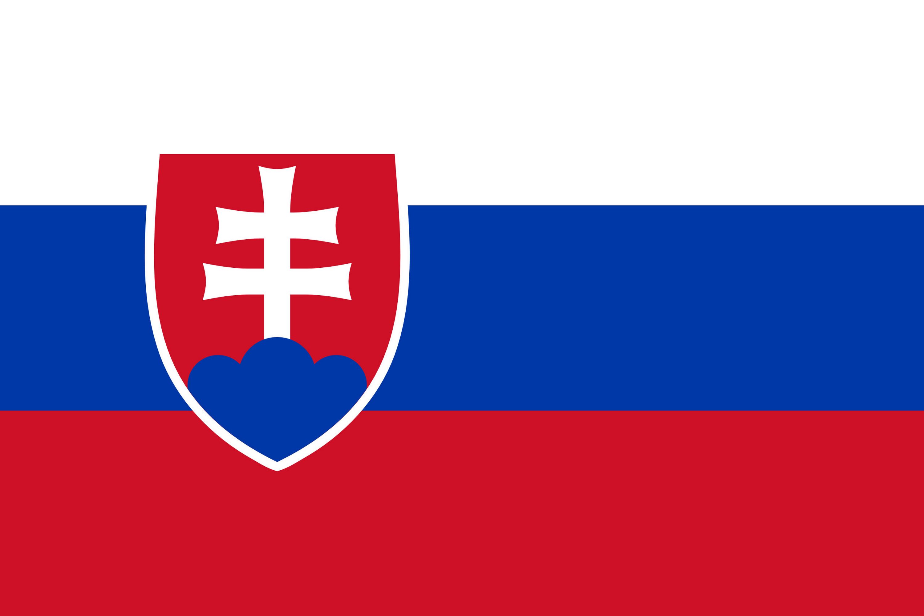 Fanion Drapeau Slovaquie Voiture - 15 X 10 Cm - Polyester Imprimé Recto Verso - Décoration Patriotique