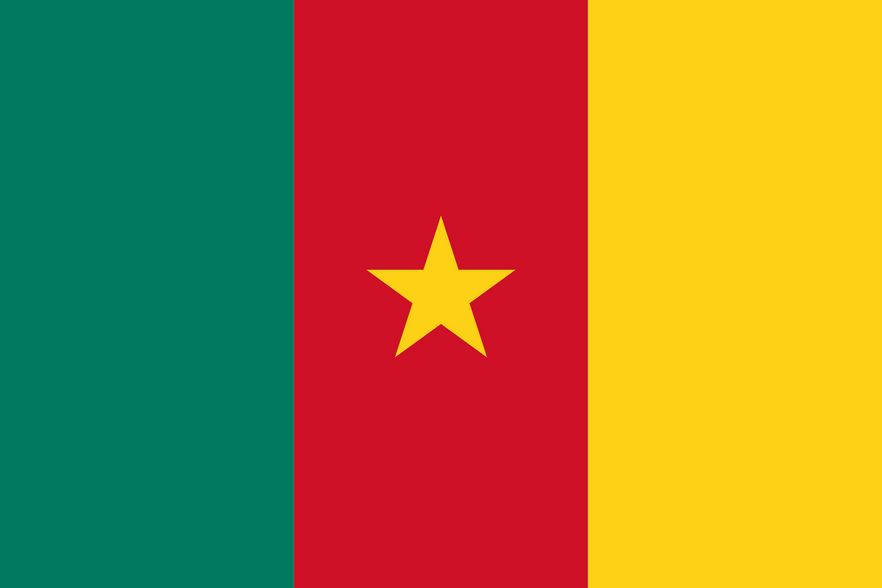 Drapeau du Cameroun